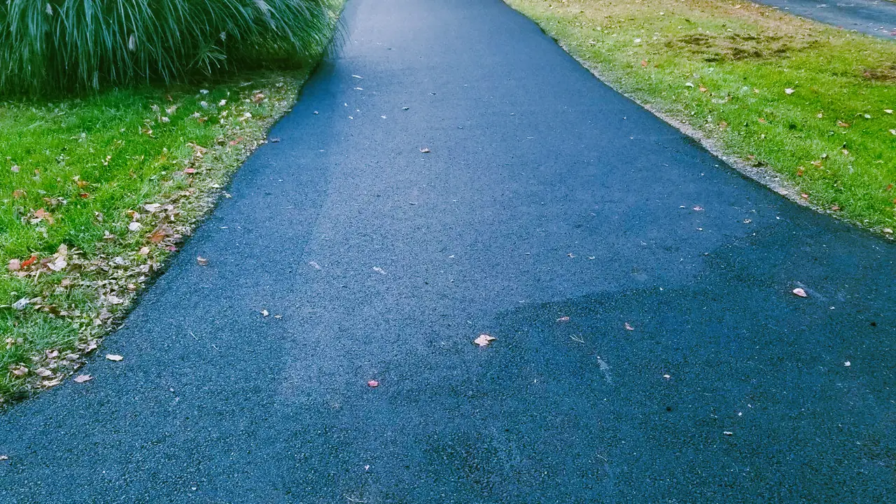 Smooth asphalt driveway curving through ornamental grasses at a NJ home